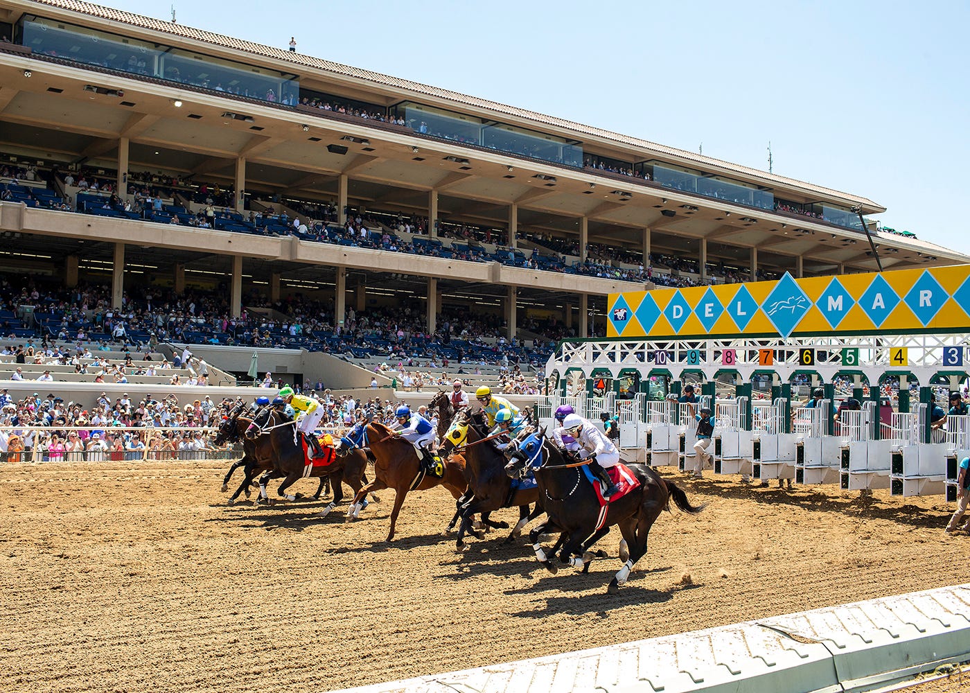 Breeders' Cup broadcast schedule and wagering menu; Classic will be run